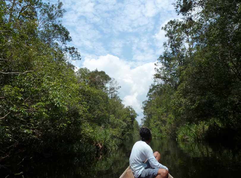 失われる生物多様性