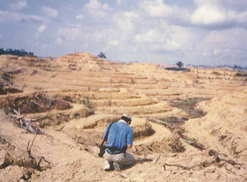 しのびよる魔の手